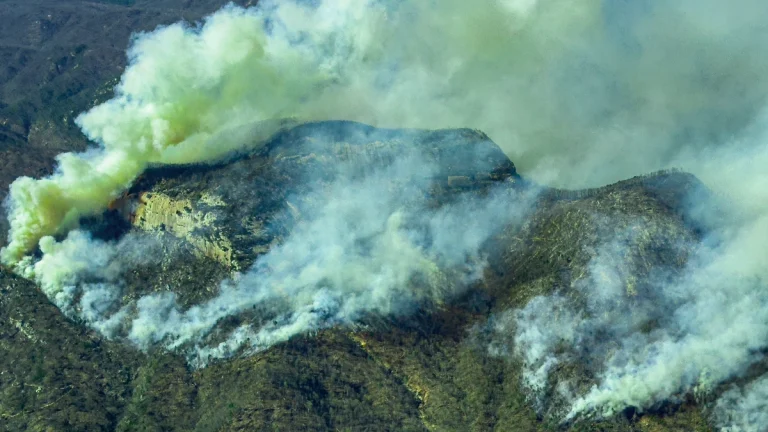 Wildfires burning through South Carolina on March 24, 2025