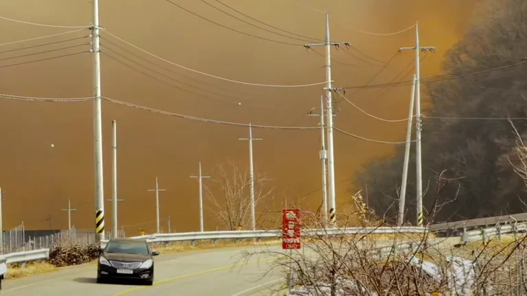 Wildfires burning through South Korea on March 25, 2025