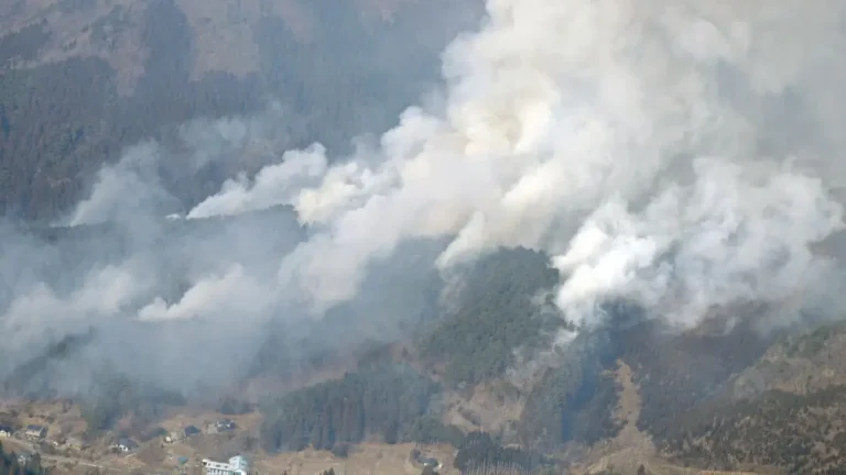 ofunato japan wildfire march 2025