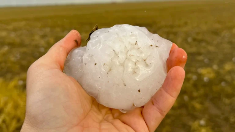 5 inch hail near Matador, Texas on April 24, 2025