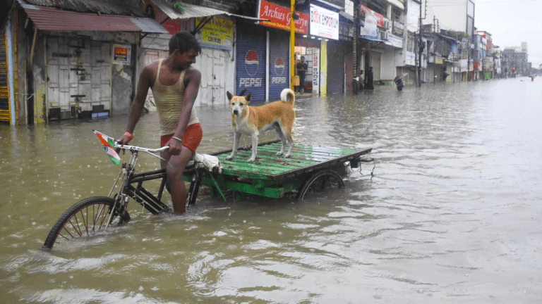 Over 500 homes damaged as severe storm lashes Tripura, India