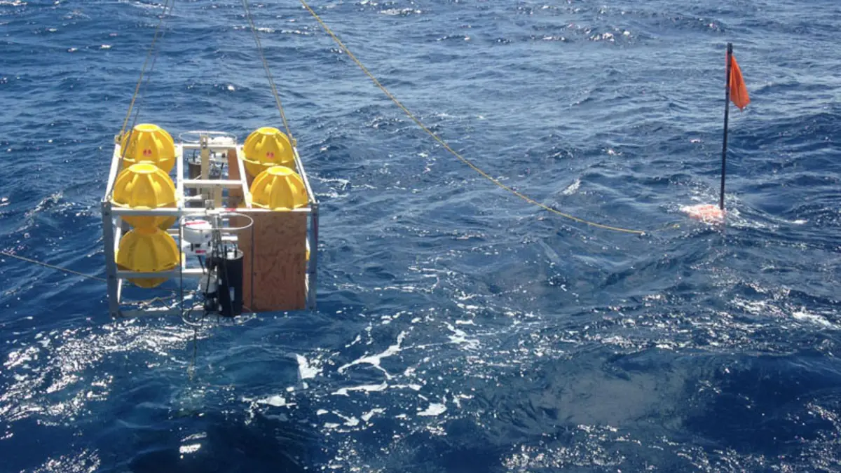 Image shows lander with plankton pumps, weight stack, strobe, and radio transmitter. Image credit: Erica Goetze, DeepCCZ expedition
