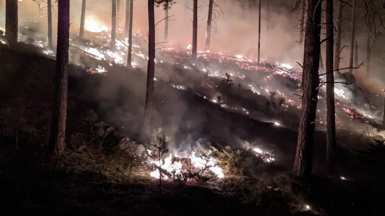 Representational image of a prescribed fire in South Dakota