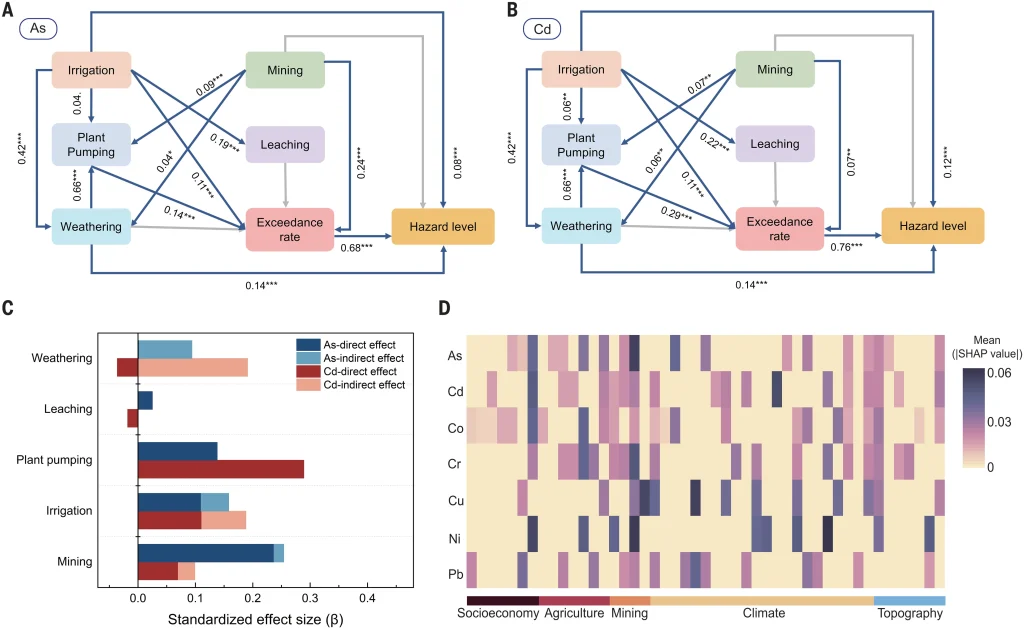 Relationships among soil metal exceedance and underlying processes. Image credit: Global soil pollution by toxic metals threatens agriculture and human health, Deyi Hou, Xiyue Jia, Liuwei Wang et al.