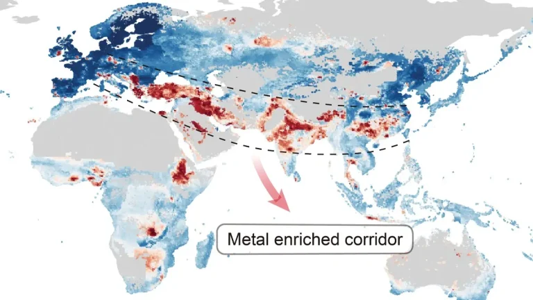 Toxic metals pollute 17% of global cropland, threatening food safety study