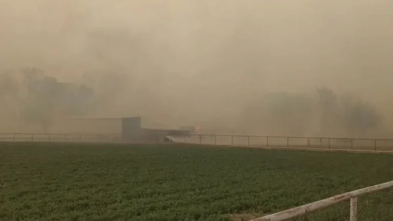 rio grande fire new mexico april 17 2025