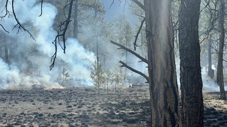 turkey track fire april 13 2025 f