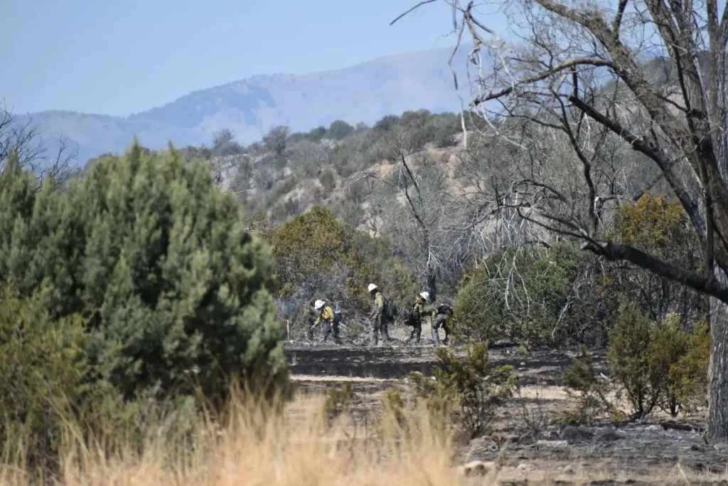 Image credit: Bureau of Land Management - New Mexico
