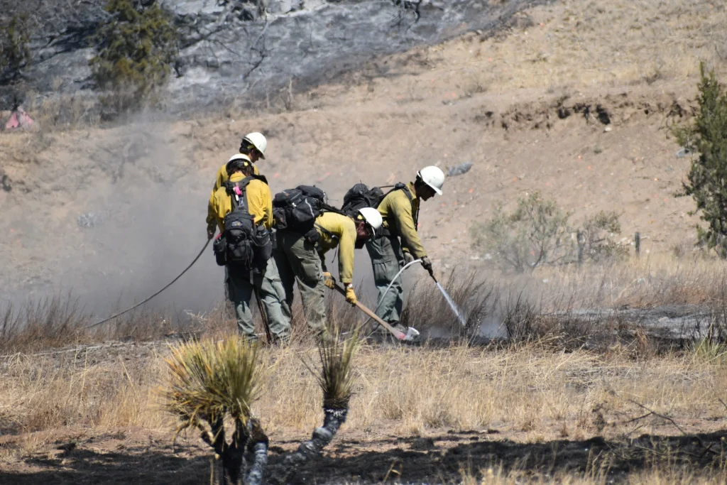 Image credit: Bureau of Land Management - New Mexico