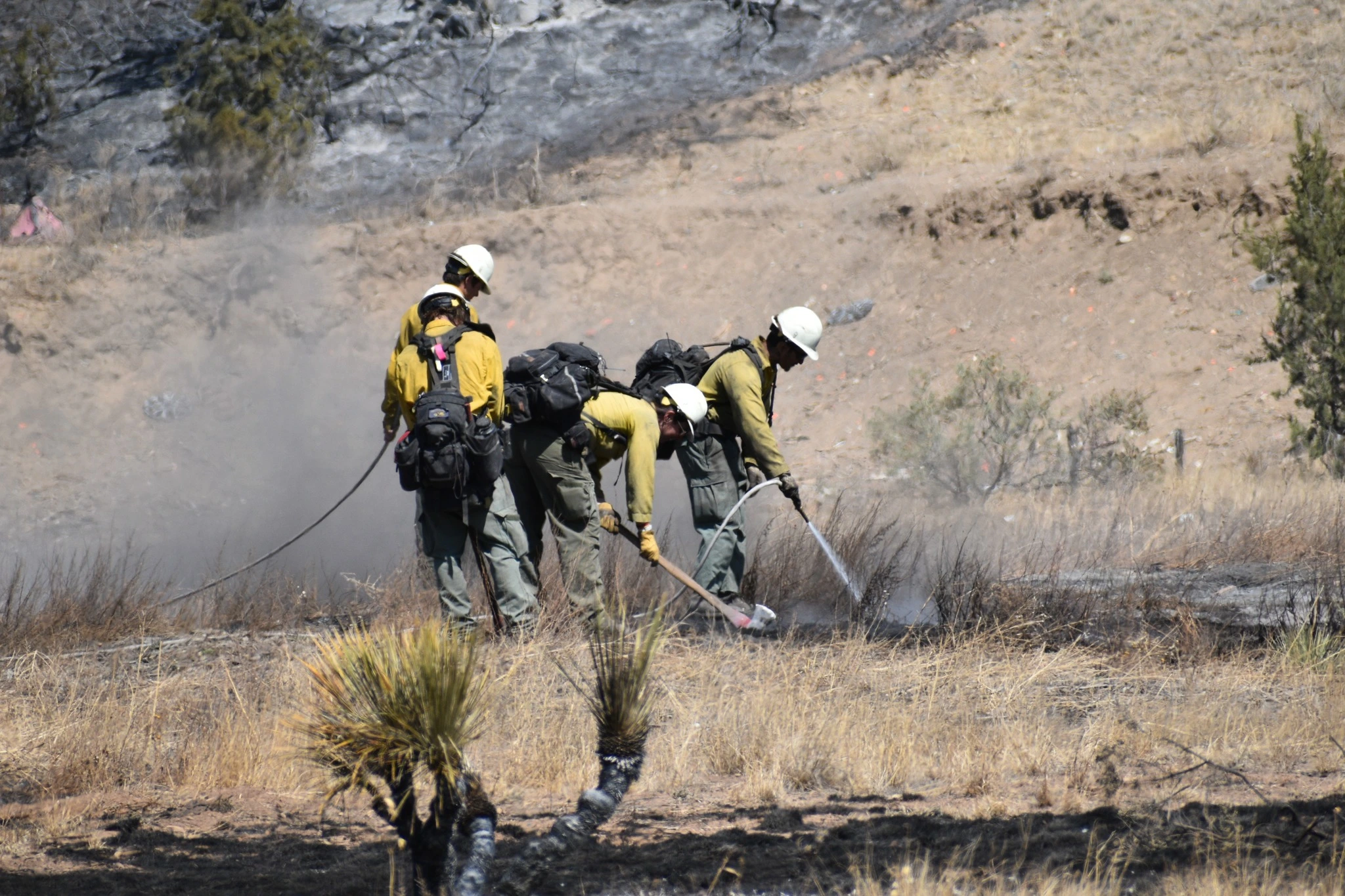 Image credit: Bureau of Land Management - New Mexico