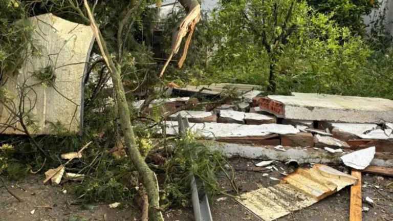 Tornado damage in the town of Porto Peles. Image credit: Fábio Raimundo Acosta