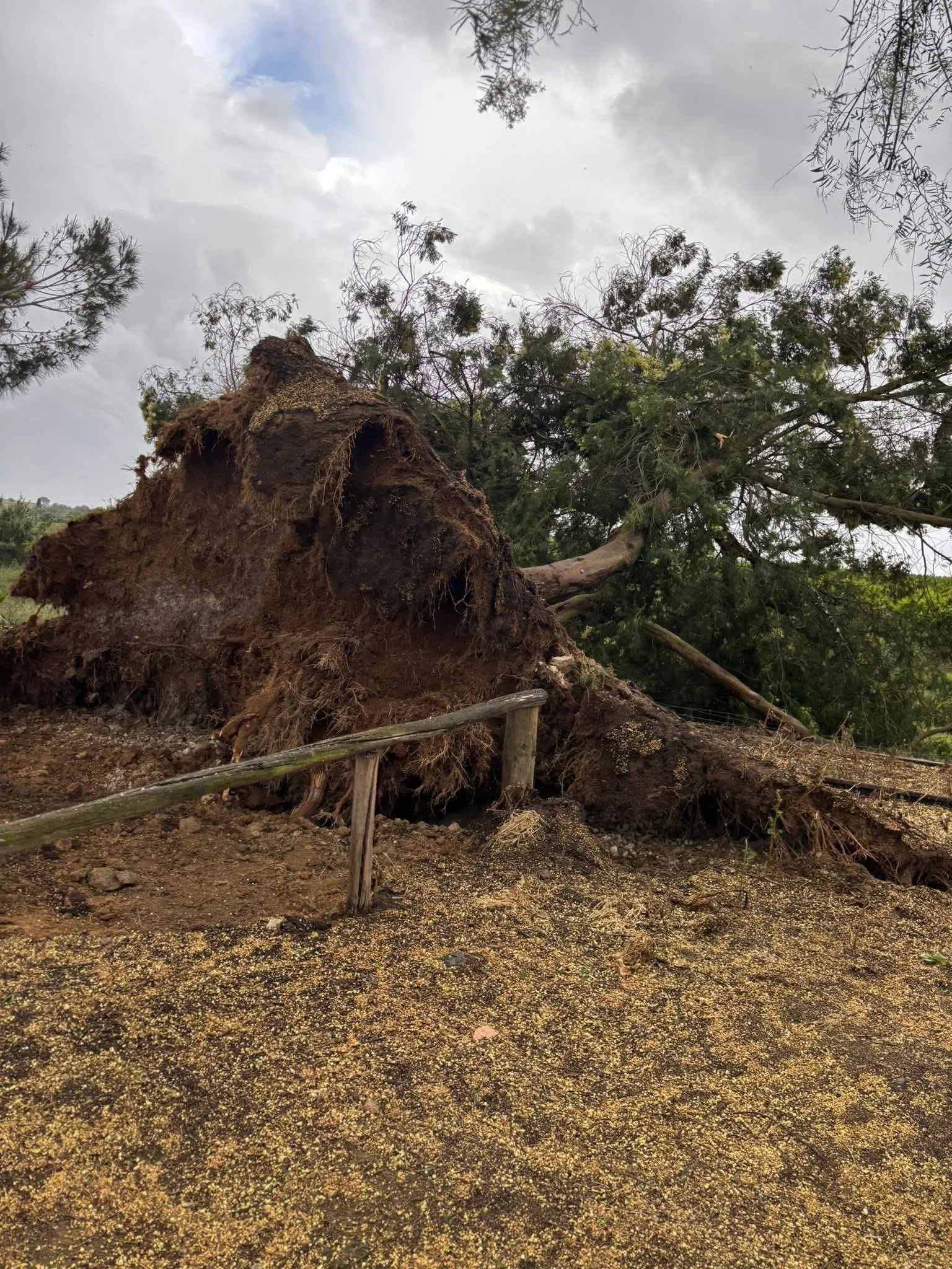 Tornado this morning in the town of Porto Peles. Image credit: Fábio Raimundo Acosta