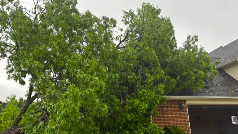 Tree downed on a house in Texas after storms ripped through the region on May 6, 2025