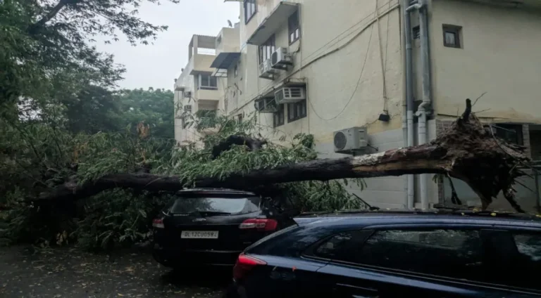 Uprooted tree fallen over a parked car in Vasant Kunj after a storm in Delhi.