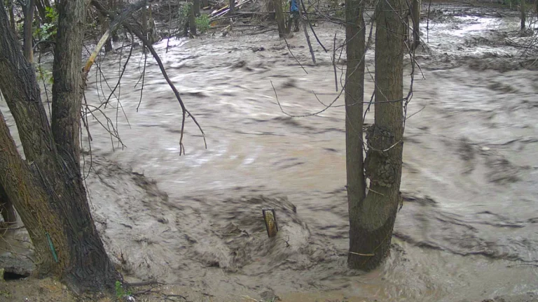 Flooding along the Rio Ruidoso river at Hollywood at 14:00 MDT on July 24, 2025. Credit: USGS