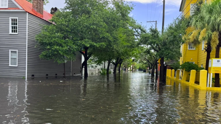 Flooding in Charleston, South Carolina on July 22, 2025. Credit: Evan Deese