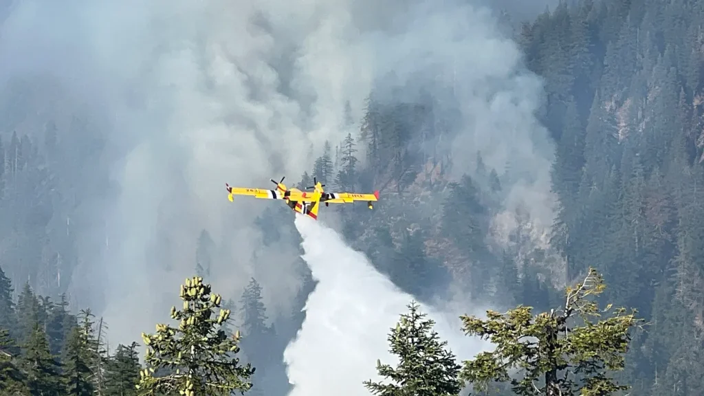 Orleans Complex Wildfire burns in Northern California. Credit: U.S. Forest Service