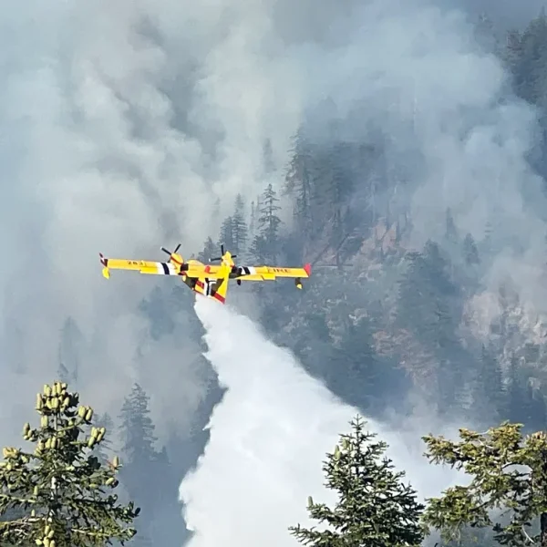 Orleans Complex Wildfire burns in Northern California. Credit: U.S. Forest Service