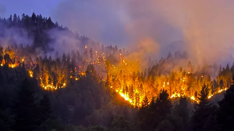 Orleans Complex Wildfire burns in Northern California. Credit: U.S. Forest Service