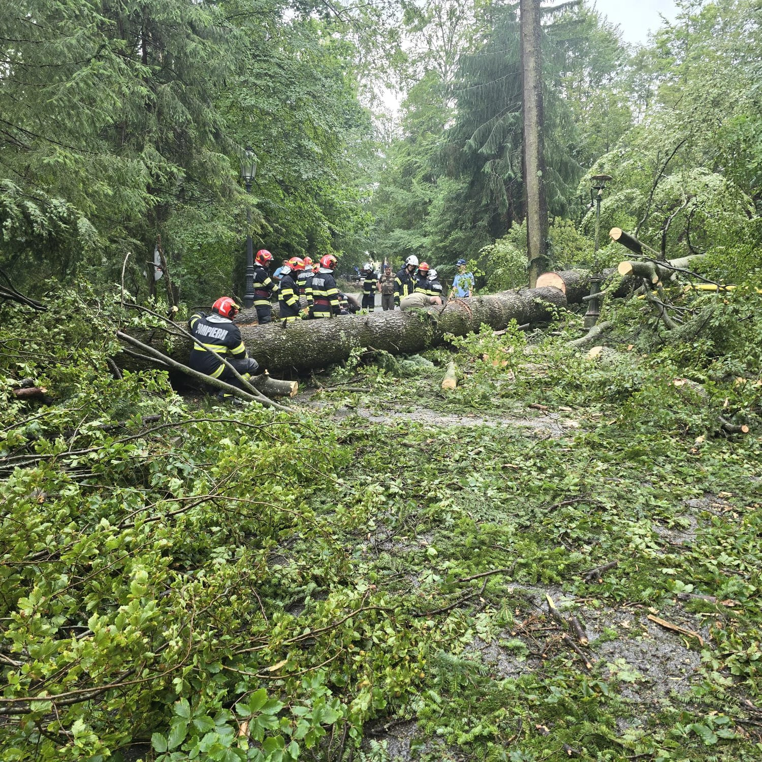 Storm damage in Sinaia, Romania on July 9, 2025. Credit: IGSU