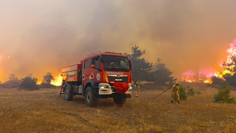 Wildfires in Turkey on July 27, 2025. Credit: Orman Genel Müdürlüğü