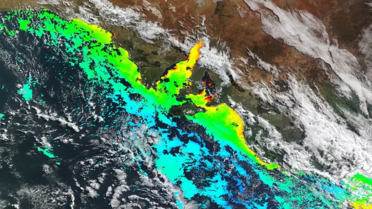 chlorophyll a modis july 17 2025