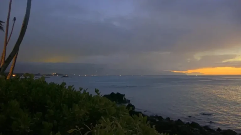 hawaii tsunami july 29 2025 after russia M8.8 earthquake
