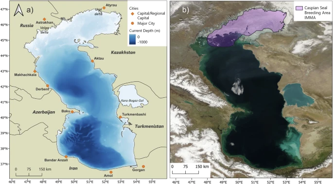 a Bathymetry of the Caspian Sea with a datum of −27.5 m against global mean sea level. b NASA Worldview satellite image of the Caspian Sea region showing typical winter ice coverage of the northern Caspian basin, which is the breeding habitat for the endemic Caspian seal (Pusa caspica). The pink polygon indicates the Caspian seal breeding Important Marine Mammal Area (IMMA; see Methods).