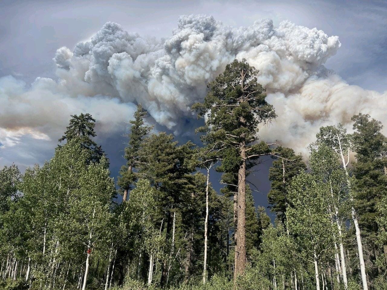 Dragon fire on July 31, 2025. Credit 2025 Dragon Bravo Fire Information