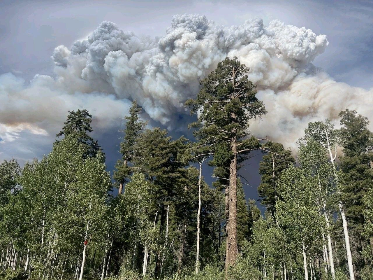 Dragon fire on July 31, 2025. Credit 2025 Dragon Bravo Fire Information