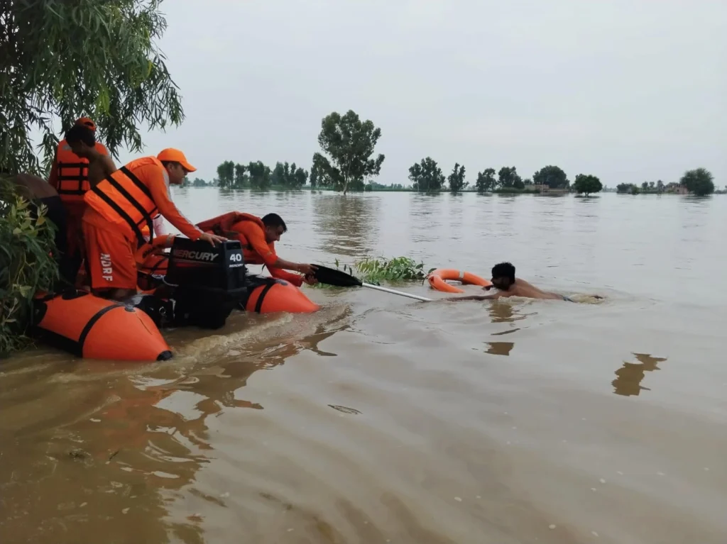Flood rescue in Punjab on August 29, 2025. Credit: NDRF.