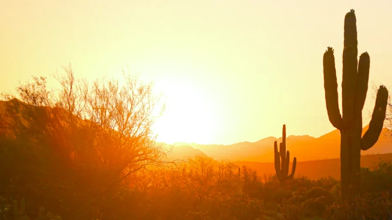 Phoenix, Arizona.