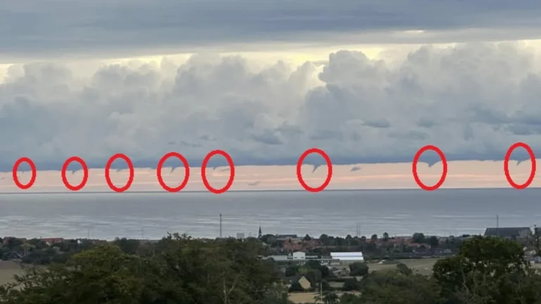 Rare octuplet waterspouts spotted over the Baltic Sea on August 21, 2025