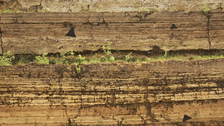Bio strata. Credit: Ustill/Wikipedia
