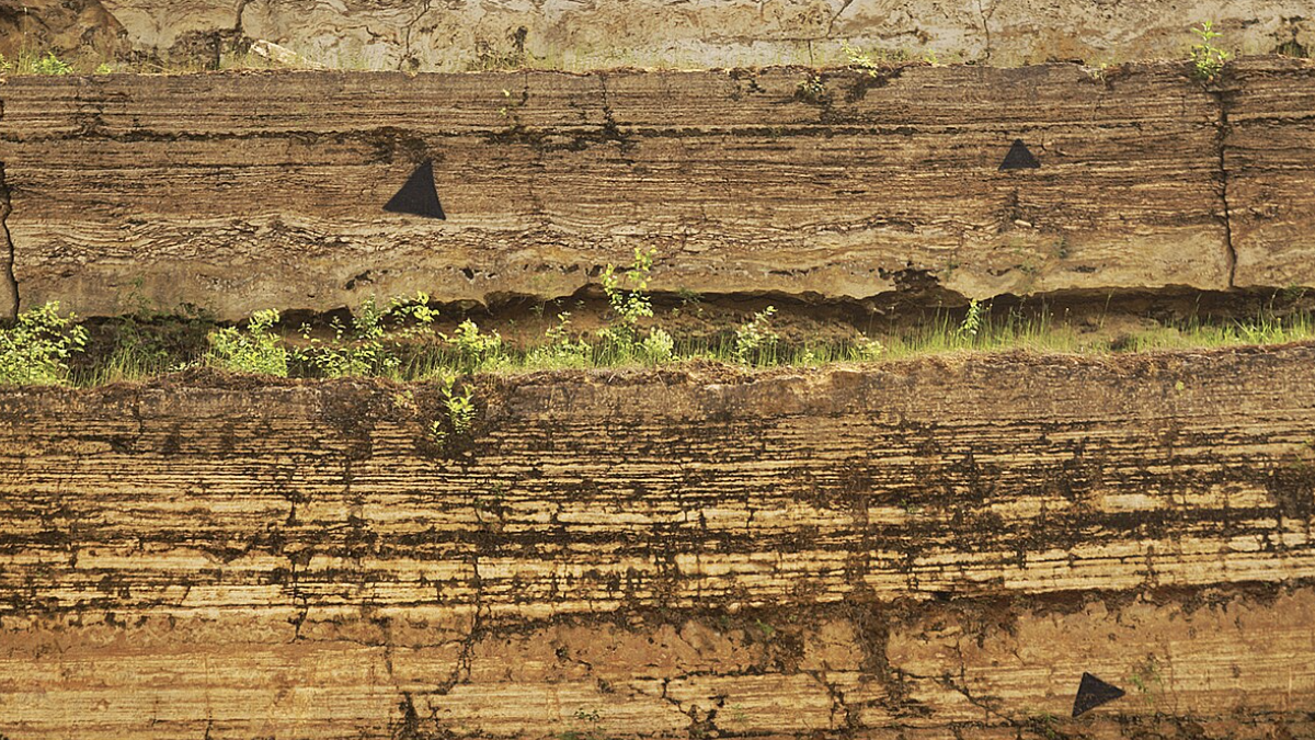 Bio strata. Credit: Ustill/Wikipedia