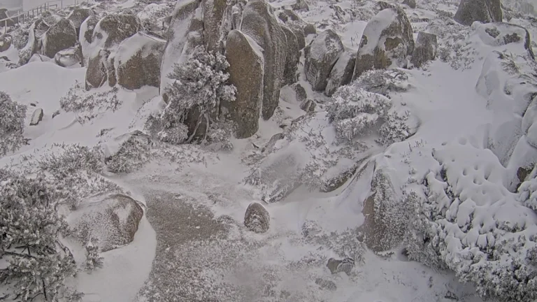 The summit of Kunanyi Mount Wellington covered in snow on the morning of August 30, 2025. Credit: City of Hobart