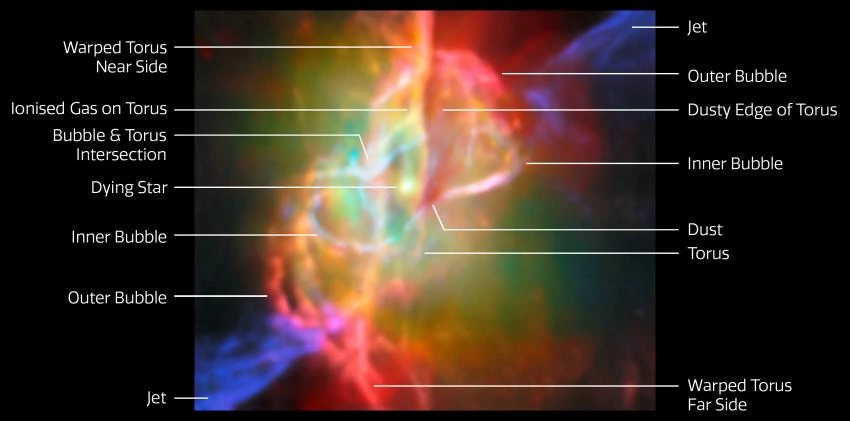 This annotated image takes the viewer on a deep dive into the heart of the Butterfly Nebula, NGC 6302, as seen by the James Webb Space Telescope. ESA/Webb, NASA & CSA, M. Matsuura, ALMA (ESO/NAOJ/NRAO), N. Hirano, M. Zamani (ESA/Webb)