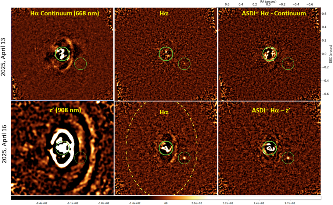 Discovery images of protoplanet WISPIT 2b from April 2025 MagAO-X Hα observations, reduced with the pyKLIP pipeline. Green circles mark the host star (r = 103 mas) and planet (r = 89 mas; separation = 309.4 mas, PA = 242.2°). WISPIT 2b appears in the ASDI image with SNR = 5.5 (top right) and was recovered at SNR = 12.5 on April 16 (bottom right). The dashed yellow line traces ring #2 in the Hα image. Images are smoothed by Gaussian filtering; north is up, east is left.