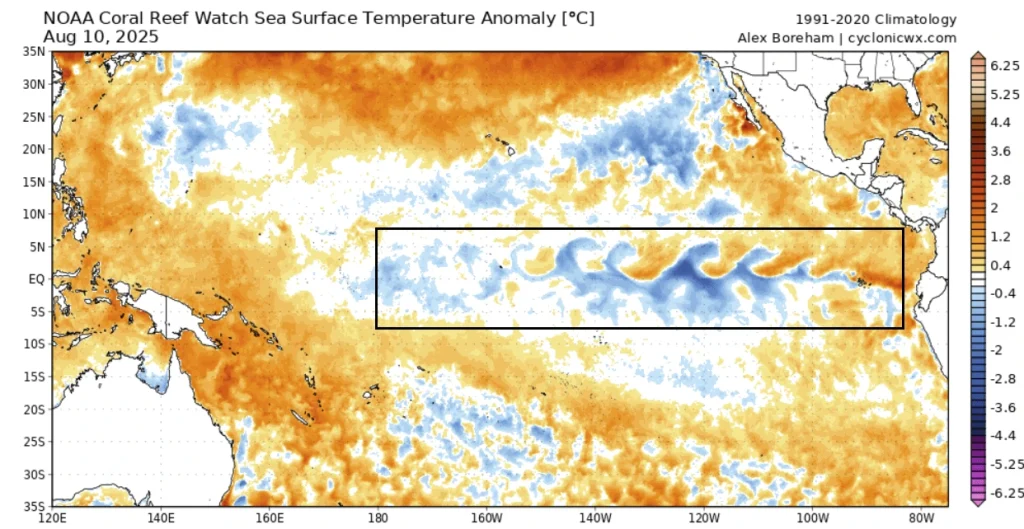 Sea surface temperature anomalies in the equatorial Pacific Ocean on August 10, 2025, based on NOAA Coral Reef Watch data.