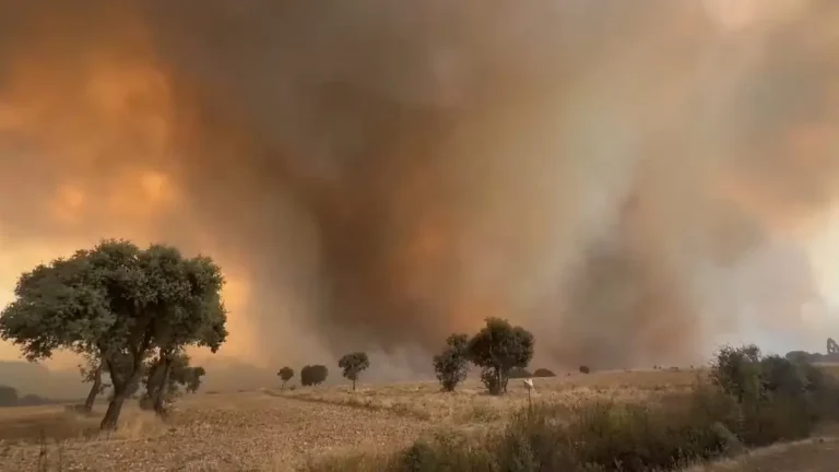 molezuelas zamora spain wildfire august 2025