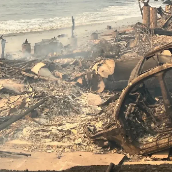 palisides fire la california damage january 2025 by calfire