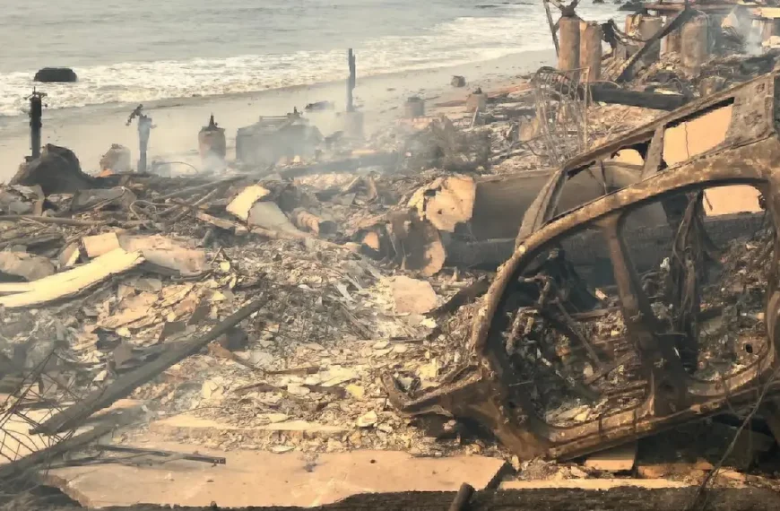 palisides fire la california damage january 2025 by calfire