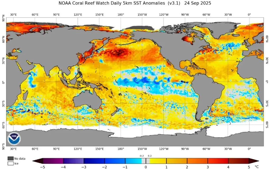 5km sst anomalies september 24 2025
