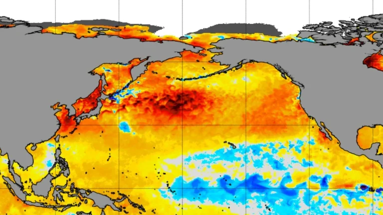 5km sst anomalies september 24 2025 f