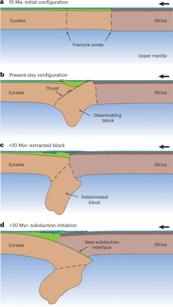 Evolutionary model.