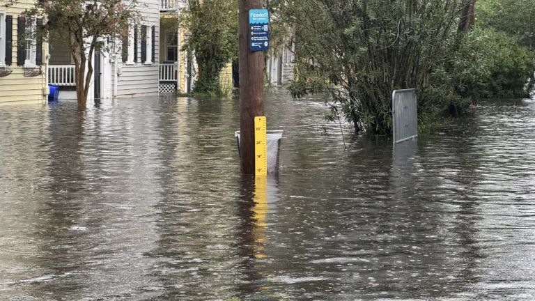 Flooding in Charleston, South Carolina on September 7, 2025