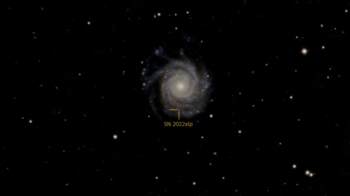 Image of NGC 3938 hosted the SN 2022xlp