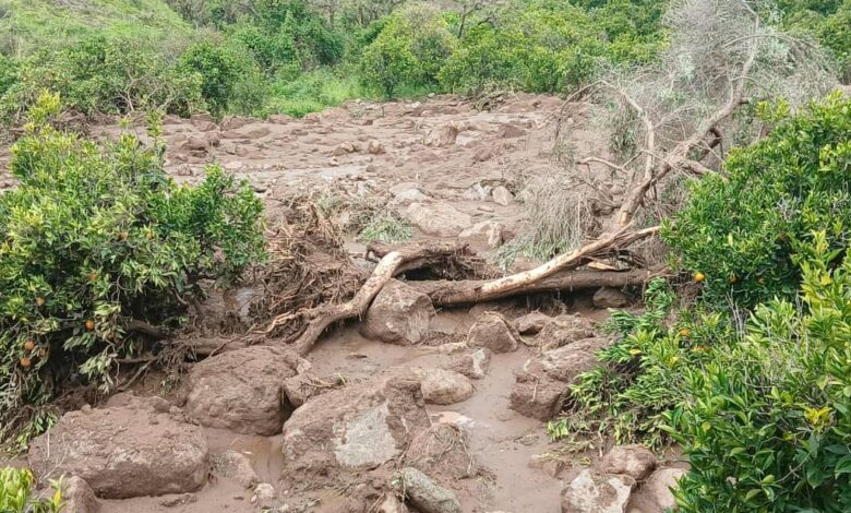 Landslide wipes out the Tarasin village in Sudan's western Darfur, on August 31, 2025. Credit: SLM/A