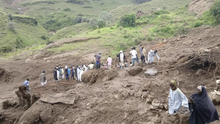 Landslide wipes out the Tarasin village in Sudan's western Darfur, on August 31, 2025. Credit: SLM/A