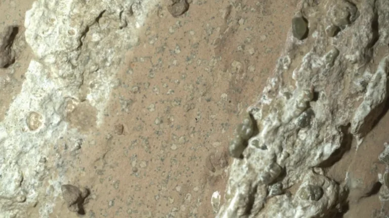 Leopard spots on Cheyava Falls in Mars' Jazero Crater, discovered by NASAs Perseverance Rover in July 2024. Credit: NASA JPL-Caltech MSSS
